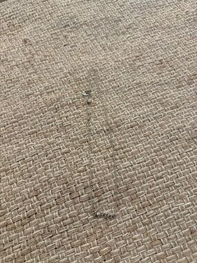 Delicate “forever” Silver Nameplate Necklace - Script Pendant